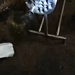 Подогреватель молока П8-ОАБ (после капремонта)