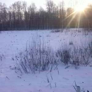 Земельный участок 7, 5 га Челябинская область 